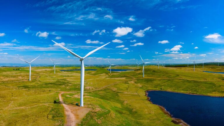 Wind generator in the process of generating electrical energy in a wind farm